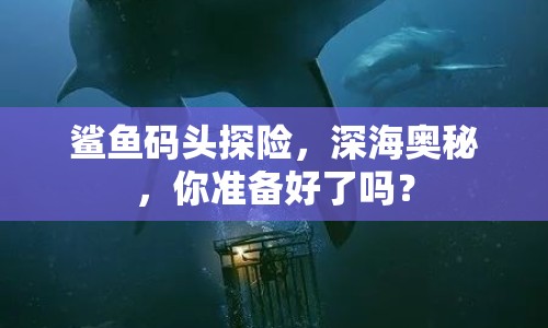 鯊魚碼頭探險(xiǎn)，深海奧秘，你準(zhǔn)備好了嗎？