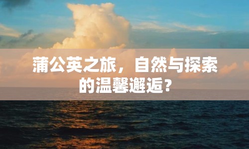 蒲公英之旅，自然與探索的溫馨邂逅？