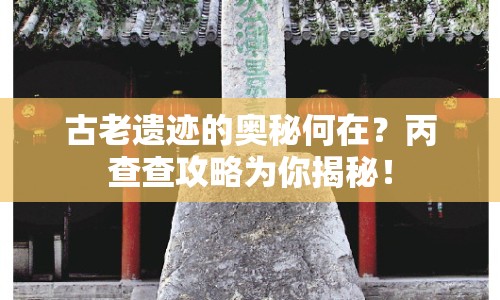 古老遺跡的奧秘何在？丙查查攻略為你揭秘！