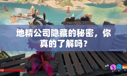 地精公司隱藏的秘密，你真的了解嗎？