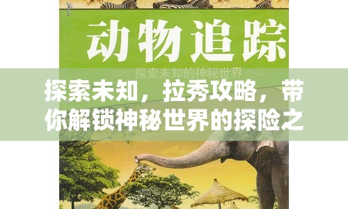探索未知，拉秀攻略，帶你解鎖神秘世界的探險之旅？