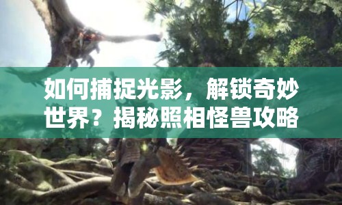 如何捕捉光影，解鎖奇妙世界？揭秘照相怪獸攻略！