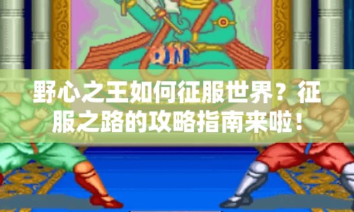 野心之王如何征服世界？征服之路的攻略指南來(lái)啦！