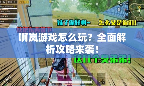啊嵐游戲怎么玩？全面解析攻略來(lái)襲！