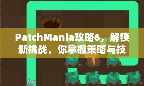 PatchMania攻略6，解鎖新挑戰(zhàn)，你掌握策略與技巧了嗎？