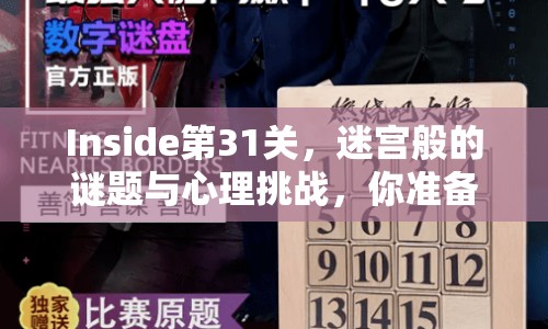 Inside第31關(guān)，迷宮般的謎題與心理挑戰(zhàn)，你準備好了嗎？