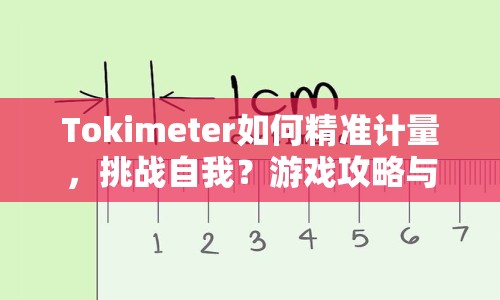 Tokimeter如何精準計量，挑戰(zhàn)自我？游戲攻略與玩法全解析！