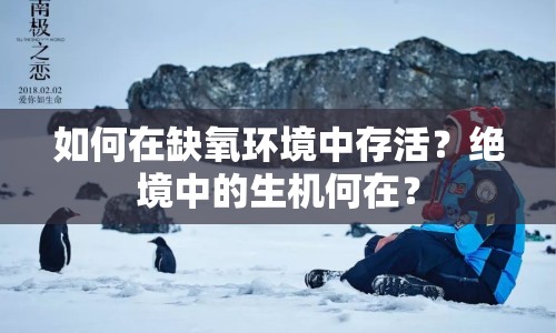 如何在缺氧環(huán)境中存活？絕境中的生機(jī)何在？