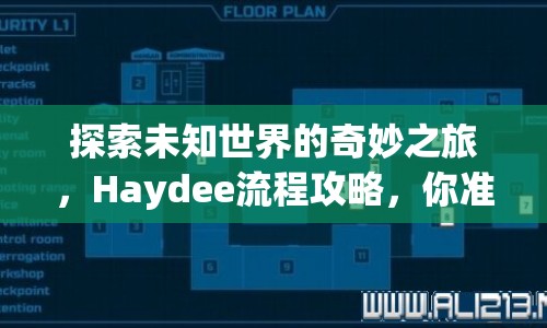 探索未知世界的奇妙之旅，Haydee流程攻略，你準備好了嗎？