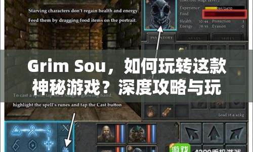 Grim Sou，如何玩轉(zhuǎn)這款神秘游戲？深度攻略與玩法解析來襲！