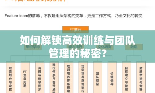 如何解鎖高效訓(xùn)練與團(tuán)隊(duì)管理的秘密？