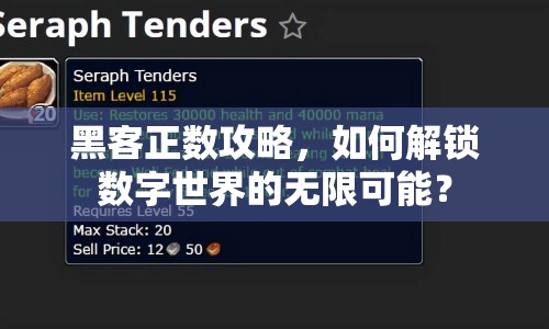 黑客正數(shù)攻略，如何解鎖數(shù)字世界的無限可能？