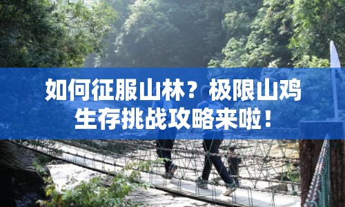 如何征服山林？極限山雞生存挑戰(zhàn)攻略來(lái)啦！
