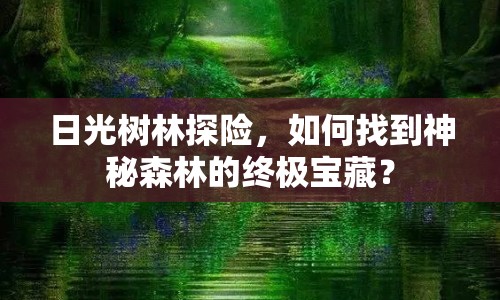 日光樹林探險(xiǎn)，如何找到神秘森林的終極寶藏？