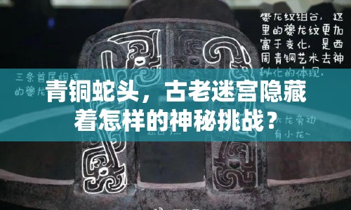 青銅蛇頭，古老迷宮隱藏著怎樣的神秘挑戰(zhàn)？