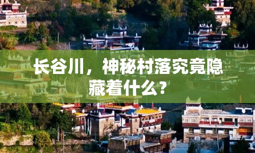 長(zhǎng)谷川，神秘村落究竟隱藏著什么？