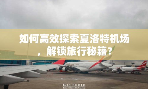 如何高效探索夏洛特機(jī)場，解鎖旅行秘籍？