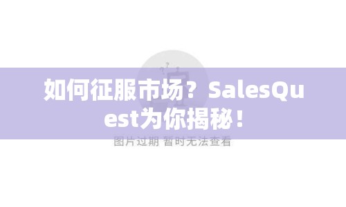 如何征服市場？SalesQuest為你揭秘！