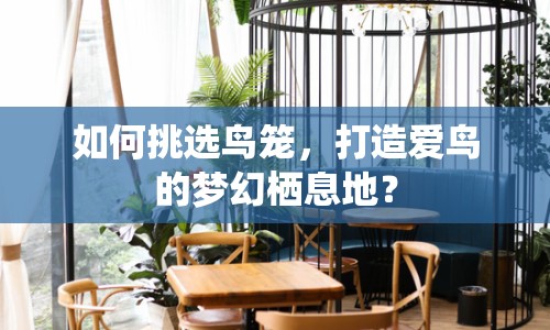 如何挑選鳥籠，打造愛鳥的夢幻棲息地？