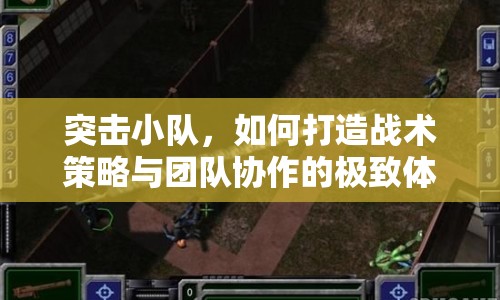 突擊小隊，如何打造戰(zhàn)術(shù)策略與團隊協(xié)作的極致體驗？