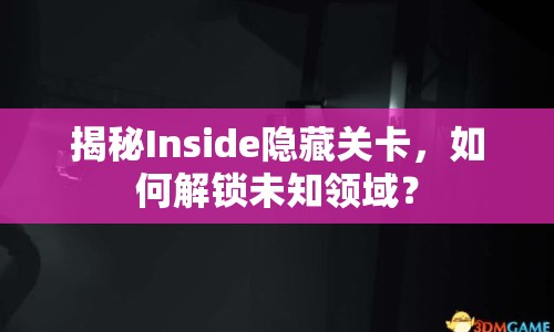 揭秘Inside隱藏關(guān)卡，如何解鎖未知領(lǐng)域？