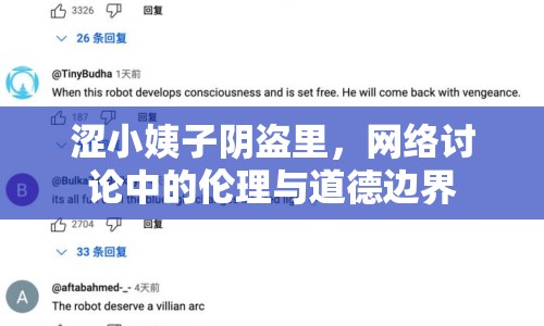 澀小姨子陰盜里，網(wǎng)絡(luò)討論中的倫理與道德邊界