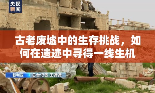 古老廢墟中的生存挑戰(zhàn)，如何在遺跡中尋得一線生機？