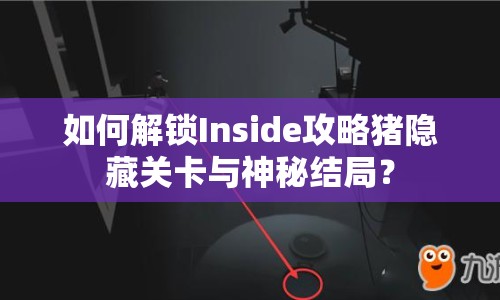 如何解鎖Inside攻略豬隱藏關(guān)卡與神秘結(jié)局？