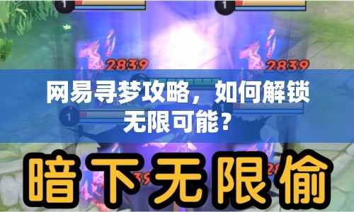 網(wǎng)易尋夢(mèng)攻略，如何解鎖無(wú)限可能？
