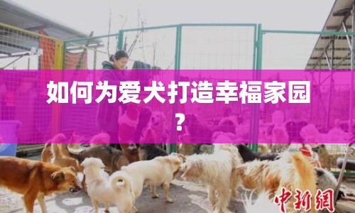 如何為愛犬打造幸福家園？