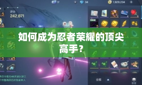 如何成為忍者榮耀的頂尖高手？