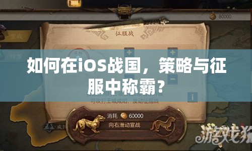 如何在iOS戰(zhàn)國，策略與征服中稱霸？