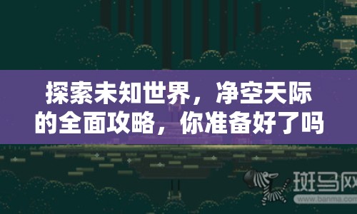 探索未知世界，凈空天際的全面攻略，你準(zhǔn)備好了嗎？