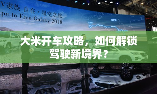 大米開車攻略，如何解鎖駕駛新境界？