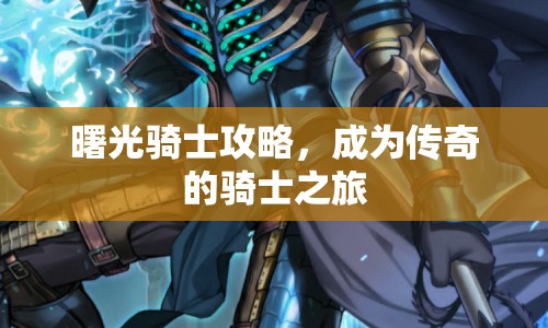 曙光騎士攻略，成為傳奇的騎士之旅