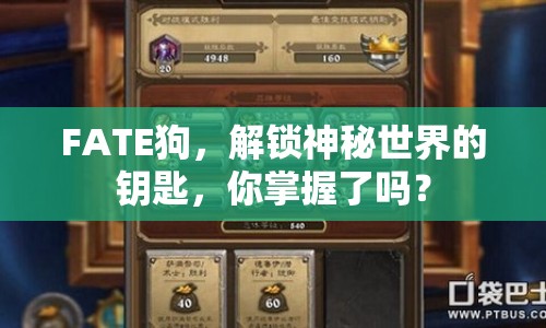 FATE狗，解鎖神秘世界的鑰匙，你掌握了嗎？