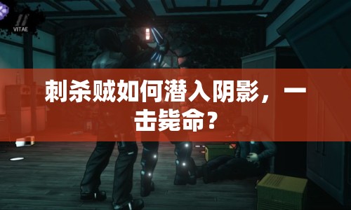 刺殺賊如何潛入陰影，一擊斃命？