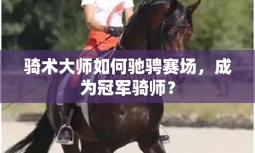 騎術(shù)大師如何馳騁賽場，成為冠軍騎師？