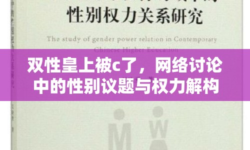 雙性皇上被c了，網(wǎng)絡(luò)討論中的性別議題與權(quán)力解構(gòu)