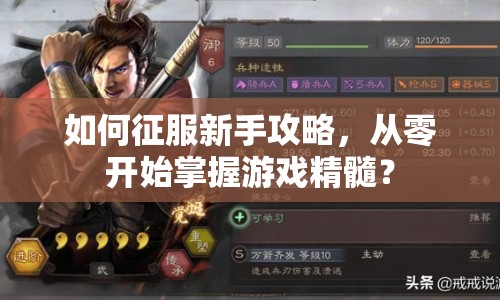 如何征服新手攻略，從零開始掌握游戲精髓？