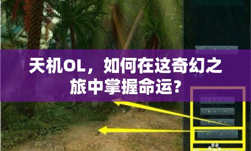 天機(jī)OL，如何在這奇幻之旅中掌握命運(yùn)？