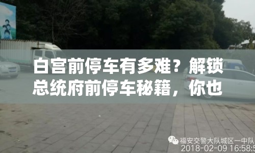 白宮前停車有多難？解鎖總統(tǒng)府前停車秘籍，你也能輕松搞定！