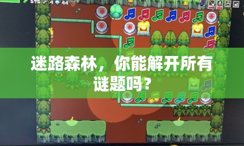 迷路森林，你能解開所有謎題嗎？