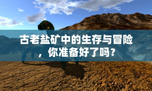 古老鹽礦中的生存與冒險，你準備好了嗎？