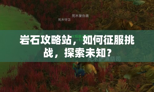 巖石攻略站，如何征服挑戰(zhàn)，探索未知？