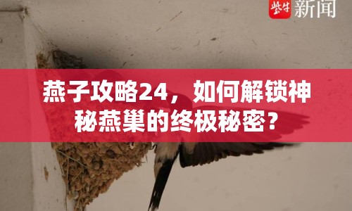 燕子攻略24，如何解鎖神秘燕巢的終極秘密？