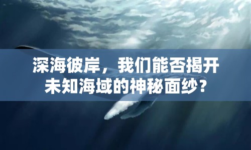 深海彼岸，我們能否揭開未知海域的神秘面紗？