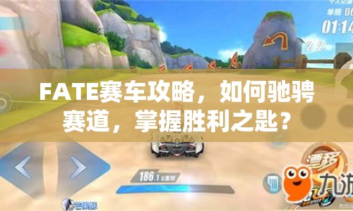 FATE賽車攻略，如何馳騁賽道，掌握勝利之匙？