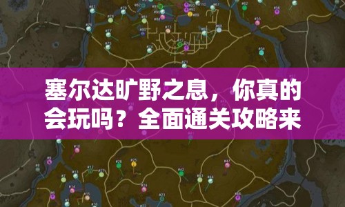 塞爾達曠野之息，你真的會玩嗎？全面通關(guān)攻略來襲！