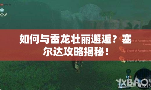 如何與雷龍壯麗邂逅？塞爾達攻略揭秘！